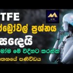 How To Make Money Online | MTFE Trading Sinhala | MTFE AI Trading