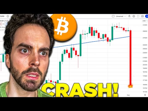 The REAL REASON Bitcoin Is Going Down (What's Next?)
