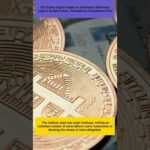 500 Scam Crypto Assets on Coinbase's Ethereum Layer-2 by Bad Actors: Revealed by Surveillance Firm img_100563_500-scam-crypto-assets-on-coinbase-39-s-ethereum-layer-2-by-bad-actors-revealed-by-surveillance-firm.jpg