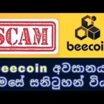 beecoin එකෙත් අවසානයද මේ? ඊලගට මොකක්ද? beecoin scam #beecoin #mtfe #onmaxdt #crypto #earnmoneyonline