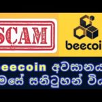 img_100713_beecoin-beecoin-scam-beecoin-mtfe-onmaxdt-crypto-earnmoneyonline.jpg