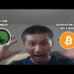 Crypto Scam PEPE Unveiled!! Bitcoin bottom is near says JP Morgan