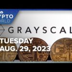 img_101005_court-sides-with-grayscale-over-sec-in-spot-bitcoin-etf-lawsuit-cnbc-crypto-world.jpg