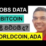 img_101139_will-jobs-data-push-bitcoin-further-down-worldcoin-and-ada.jpg