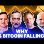 img_101341_is-gold-about-to-pump-why-is-bitcoin-falling-macro.jpg