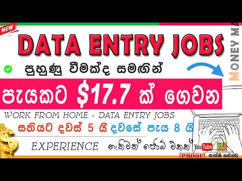 How to earn $17 per hour with remote data entry jobs with indeed Sinhala| work from home| SLTUTY