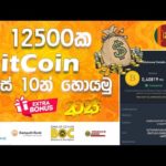 img_101357_how-to-earn-bitcoin-2023-how-to-earn-dollers-2023-how-earn-crypto-sinhala-online-jobs-sinhala.jpg