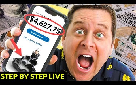 Make Money Online – Watch Me Set Up A Business Live! [Free Traffic]