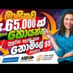 img_101471_e-money-sinhala-online-money-sinhala-online-jobs-at-home-online-emoney-job-sinhala.jpg