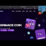 img_101495_grimace-how-crypto-bloggers-sell-you-a-scam-project-analysis.jpg