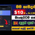 img_101579_3200-online-job-at-home-e-money-sinhala-usdt-earn-sinhala-payment-proof.jpg