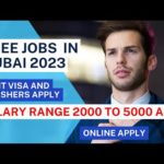 img_101631_freshers-and-visit-visa-jobs-in-dubai-uae-2023-dubai.jpg