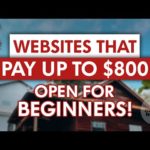 GET PAID $800 FAST! Beginners Guide to Making Money Online 2023