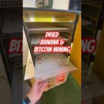 img_101947_dried-bananas-from-bitcoin-mining-with-antminer-s19-pro.jpg
