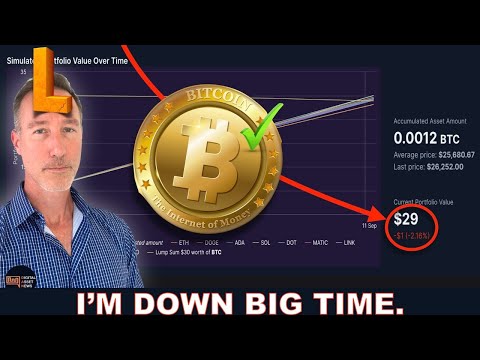 HOW MUCH MY BITCOIN & CRYPTO PORTFOLIO IS DOWN (DCA RESULTS).