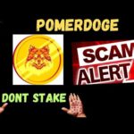 img_102120_pomerdoge-pomd-coin-crypto-scam-update.jpg