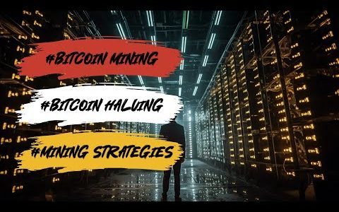 Maximizing Bitcoin Mining Profitability in 2024!