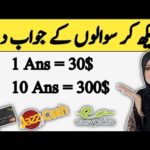 img_102160_make-money-online-without-investment-by-answering-question-online-earning-in-pakistan-make-money.jpg
