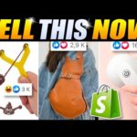 img_102250_sell-these-8-hota-viral-winning-products-and-make-money-online-dropshipping-sell-this-now.jpg