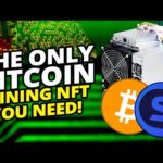 img_102544_the-only-bitcoin-mining-nft-you-need-alpha-shares-ama.jpg