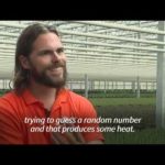 img_102644_netherlands-grows-flowers-using-energy-and-warmth-from-bitcoin-mining.jpg