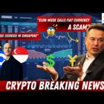 img_102846_elon-musk-calls-fiat-currency-a-scam-paradigm-accuse-sec-coinbase-licensed-in-singapore-and-more.jpg