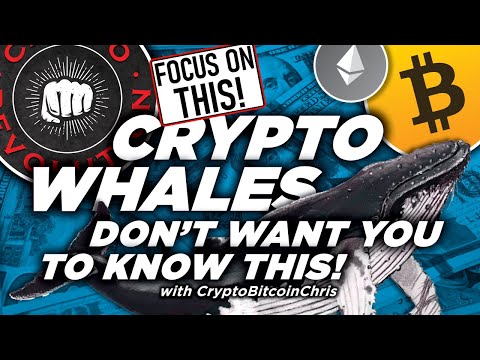 MEGA WHALES TRY TO PUSH BITCOIN PRICE HIGHER! ELON MUSK CALLS FOR SEC OVERHAUL! BULLISH SCENARIO?