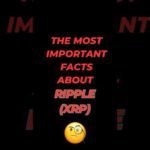 img_103046_the-most-important-facts-about-ripple-crypto-cryptocurrency-bitcoin-eth-trading-news-btc-xrp.jpg