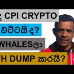 img_103230_will-cpi-and-jobs-data-crash-crypto-down-today-whales-started-dumping-ethereum.jpg