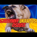 Bardzo Agresywny Ukraiński Oszust #scam #oszustwo #bitcoin