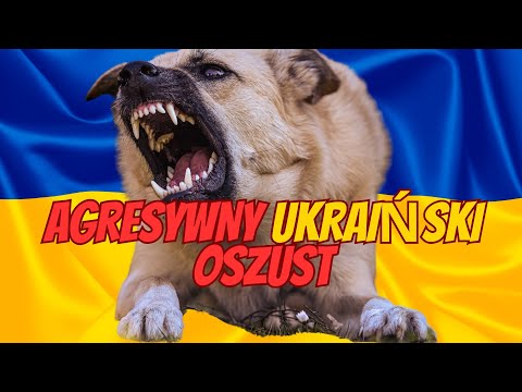Bardzo Agresywny Ukraiński Oszust #scam #oszustwo #bitcoin