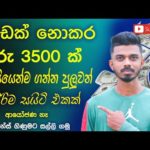 img_103864_free-earn-money-online-best-online-e-money-jobs-2023-e-money-sinhala-new-online-job-at-home.jpg