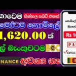 img_103968_how-to-earning-e-money-for-sinhala-part-time-typing-job-sinhala.jpg