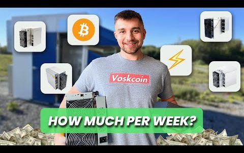 How Much My Bitcoin Mining Farm Earned Last Week