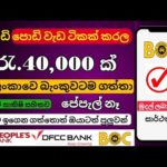 img_104148_how-to-earning-e-money-for-sinhala-part-time-typing-job-sinhala-bank-withdraw-site.jpg