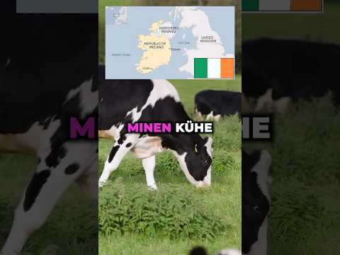 Sind Kühe die nützlichsten Tiere? #shorts #krypto #kryptonews #bitcoin #bitcoinmining