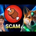 img_104364_scam-bone-shiba-shibarium-analyse-crypto.jpg