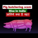 img_104802_pig-butchering-scam-rising-in-india-ii.jpg