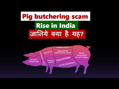 Pig butchering scam rising in India II क्यों इंडिया में बढ़ रहा है