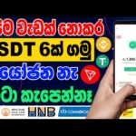 Free Crypto Mining Site Sinhala | Earn Money Online Sinhala | Passive Income Sinhala img_104846_free-crypto-mining-site-sinhala-earn-money-online-sinhala-passive-income-sinhala.jpg