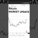 img_104994_bitcoin-it-is-possible-we-go-lower-marketupdate-priceprediction-shorts-btc-bitcoinnews.jpg