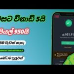 img_104996_earn-money-online-sinhala-e-money-sinhala-online-jobs-sinhala-online-money-sinhala.jpg