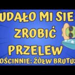 img_105215_rozmowy-z-oszustami-zrobi-em-przelew-oszustom-oszust-scam-oszu-ci-bitcoin-kryptowaluty.jpg