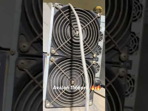 Avalon 1166pro 81th #shorts #bitcoin #bitcoinmining #viral #avalon #bitcoinnews