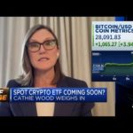 img_105309_ark-invest-ceo-cathie-wood-buy-bitcoin-now-before-blackrock-takes-it-all-crypto-etf-open-ai-2023.jpg