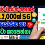 img_105329_online-business-sinhala-part-time-job-sinhala-free-crypto-mining-site.jpg