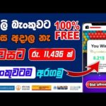 img_105951_online-business-sinhala-online-salli-hoyana-krama-online-jobs-at-home-sinhala-e-money-sinhala.jpg