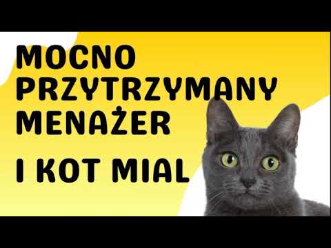 Rozmowy z oszustami - przytrzymany oszust i kot miał #oszust #scam #oszuści #bitcoin