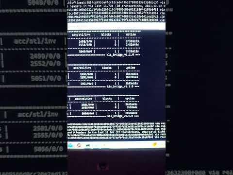 Rigel Miner #solomining #karlsen #crypto #shorts #bitcoin #mining #nodes  #miningcryptocurrency