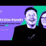 img_106491_ark-invest-ceo-cathie-wood-and-elon-musk-bitcoin-has-exploded-in-value-why.jpg